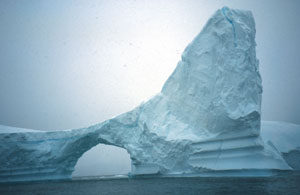  Arches often form in some icebergs as they melt. 