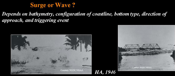 21_surgeorwave_600x260
