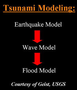 24_tsu_modeling_250x293