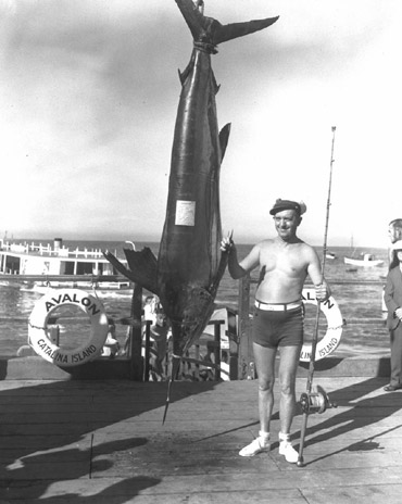 slide42_370swordfish